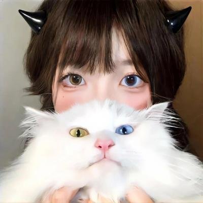 风行四季